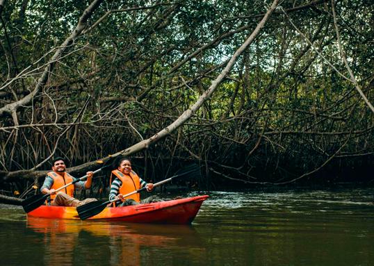 The Mangroves of Tumbes - Lugar turístico en Tumbes, Perú