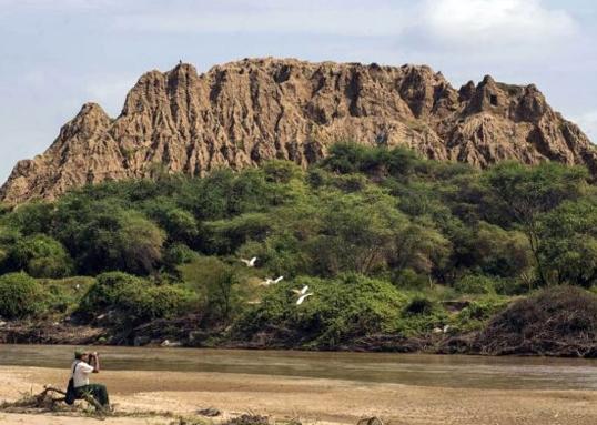 Bosque de Pómac - Lugar turístico en Chiclayo, Perú