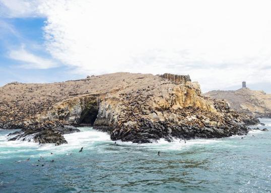 Palomino Islands - Lugar turístico en Lima, Perú