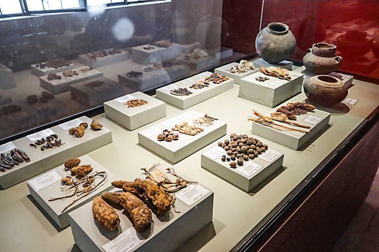 Antonini Museum - Lugar turístico en Nazca, Perú